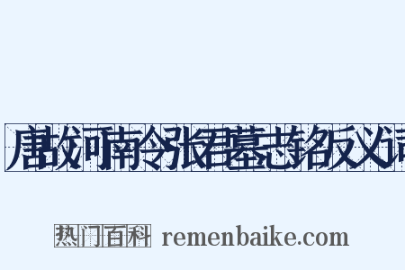 唐故河南令张君墓志铭反义词是什么意思的图片